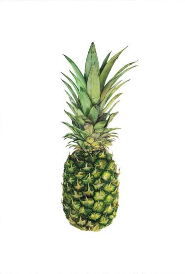 375x555 Pineapple Drawing Drawing - Pineapple Drawing