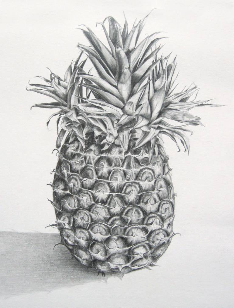 Pineapple Drawing. 