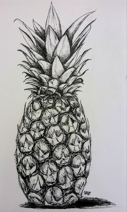 540x900 Pineapple Drawing - Pineapple Drawing
