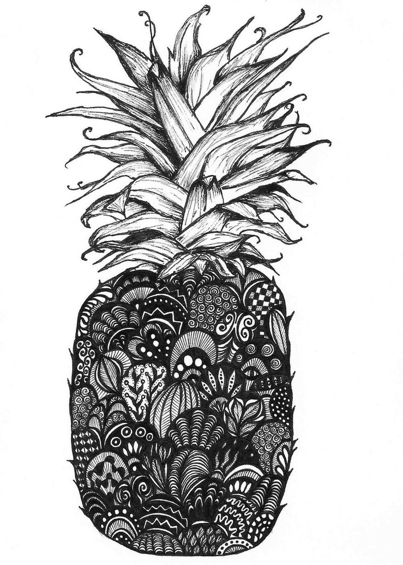 Pineapple Drawing at PaintingValley.com | Explore collection of ...