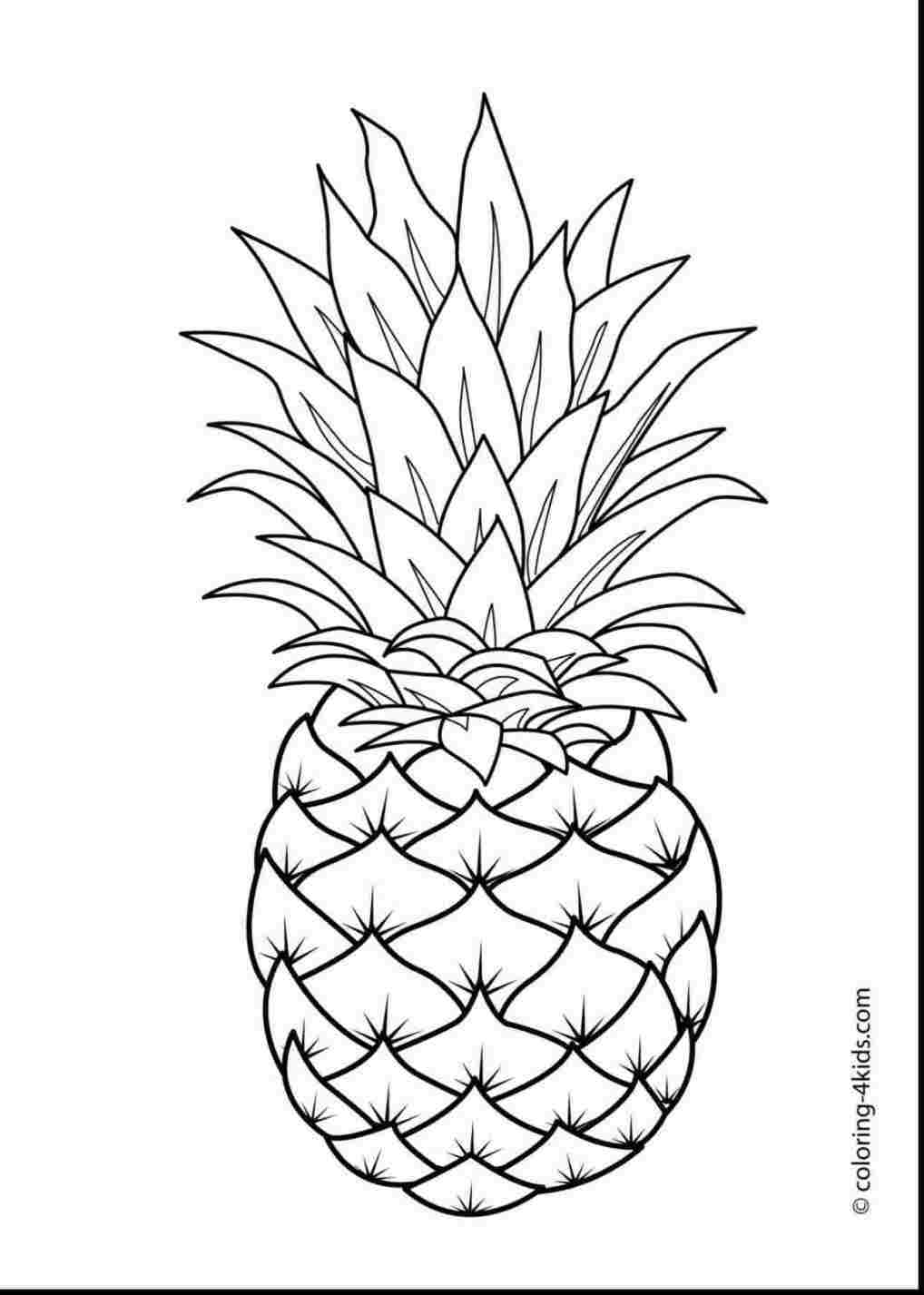 1018x1427 How Pineapple Drawing Easy To Draw A Pineapple Steps - Pineapple Drawing