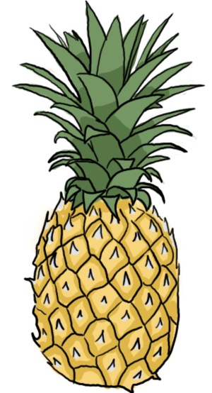 300x554 How To Draw A Pineapple - Pineapple Drawing