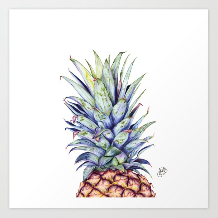 700x700 Pineapple Drawing Art Print - Pineapple Drawing