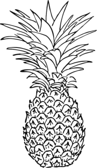 190x329 pineapple drawing small buttons spreadshirt - Pineapple Drawing