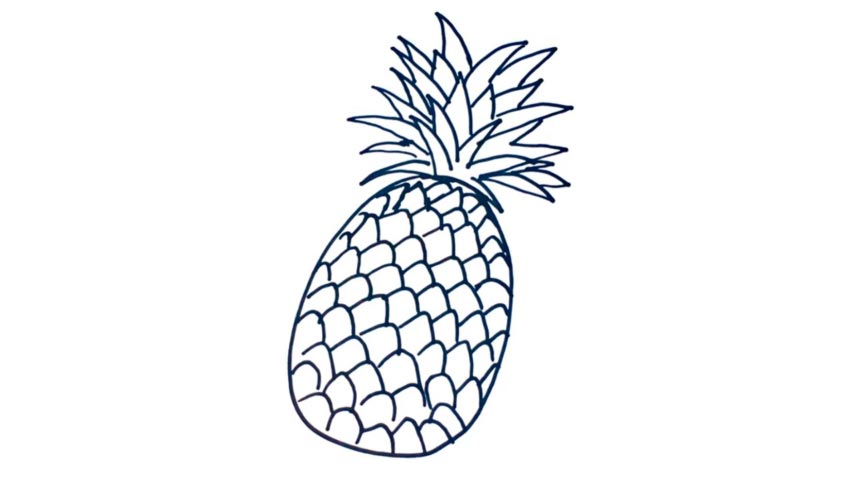 854x480 How To Draw A Pineapple - Pineapple Drawing