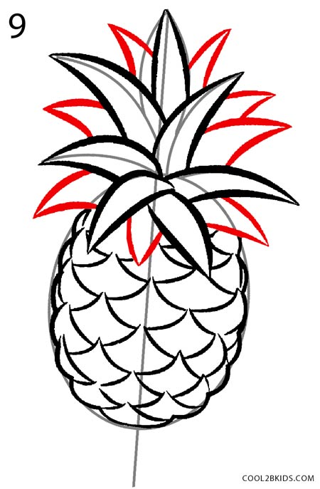 450x687 How To Draw A Pineapple - Pineapple Drawing