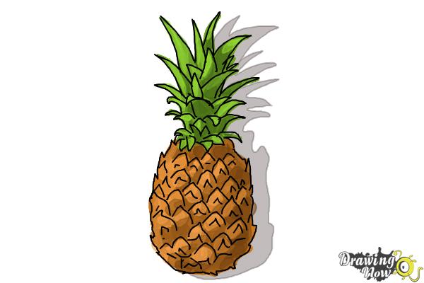 600x400 How To Draw A Pineapple - Pineapple Drawing