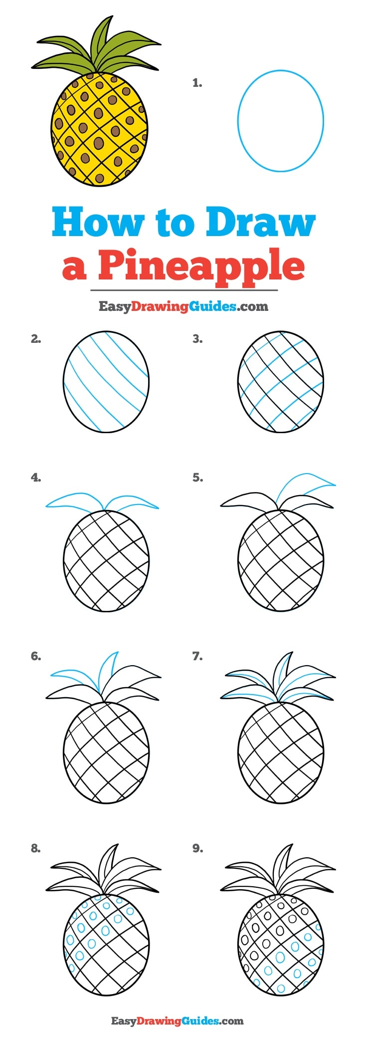 736x2088 How To Draw A Pineapple - Pineapple Drawing