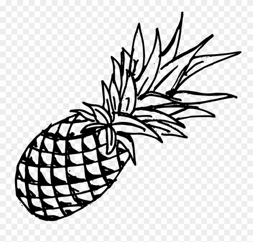 880x843 drawing pineapple template - Pineapple Drawing Clip Art