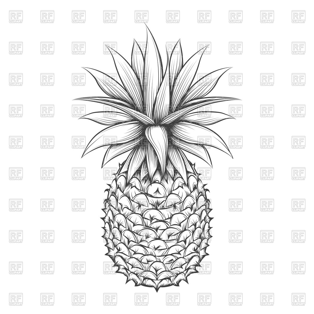 1200x1200 hand drawn pineapple vector image of food and beverages - Pineapple Drawing Clip Art
