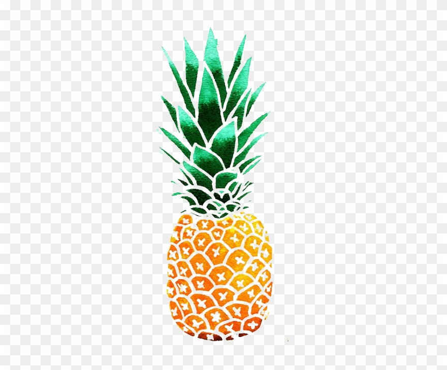 880x729  - Pineapple Drawing Clip Art