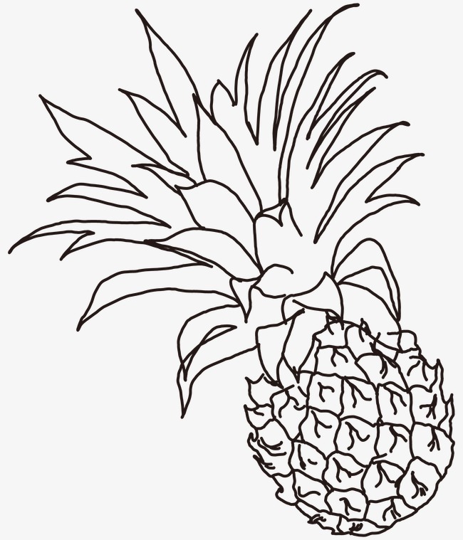 650x759 line drawing pineapple, line clipart, pineapple clipart, fruit png - Pineapple Drawing Clip Art