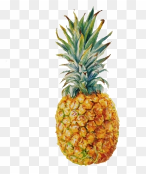 300x356 pineapple drawing clip art, transparent png clipart images free - Pineapple Drawing Clip Art