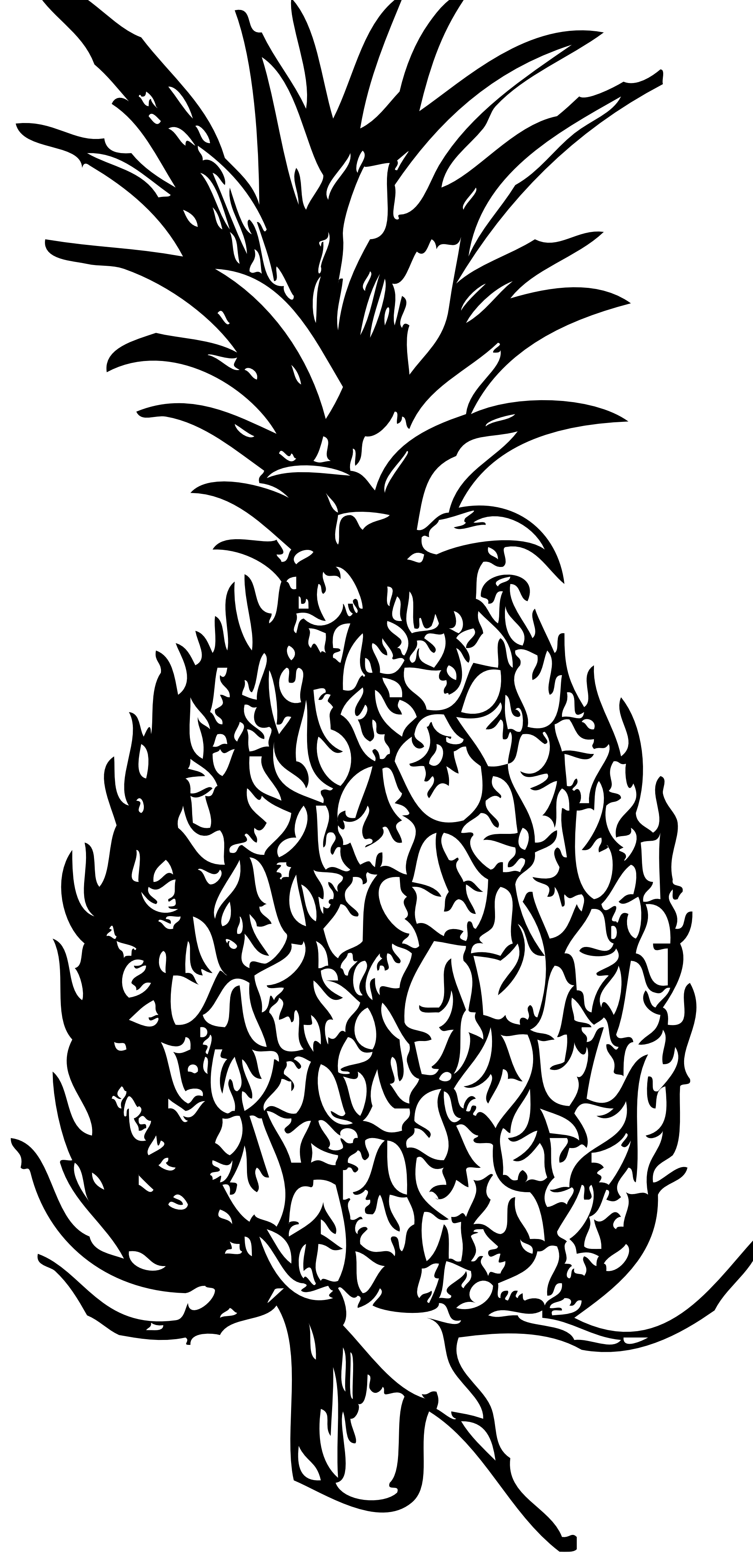 1979x4118 palm drawing pineapple huge freebie! download for powerpoint - Pineapple Drawing Clip Art