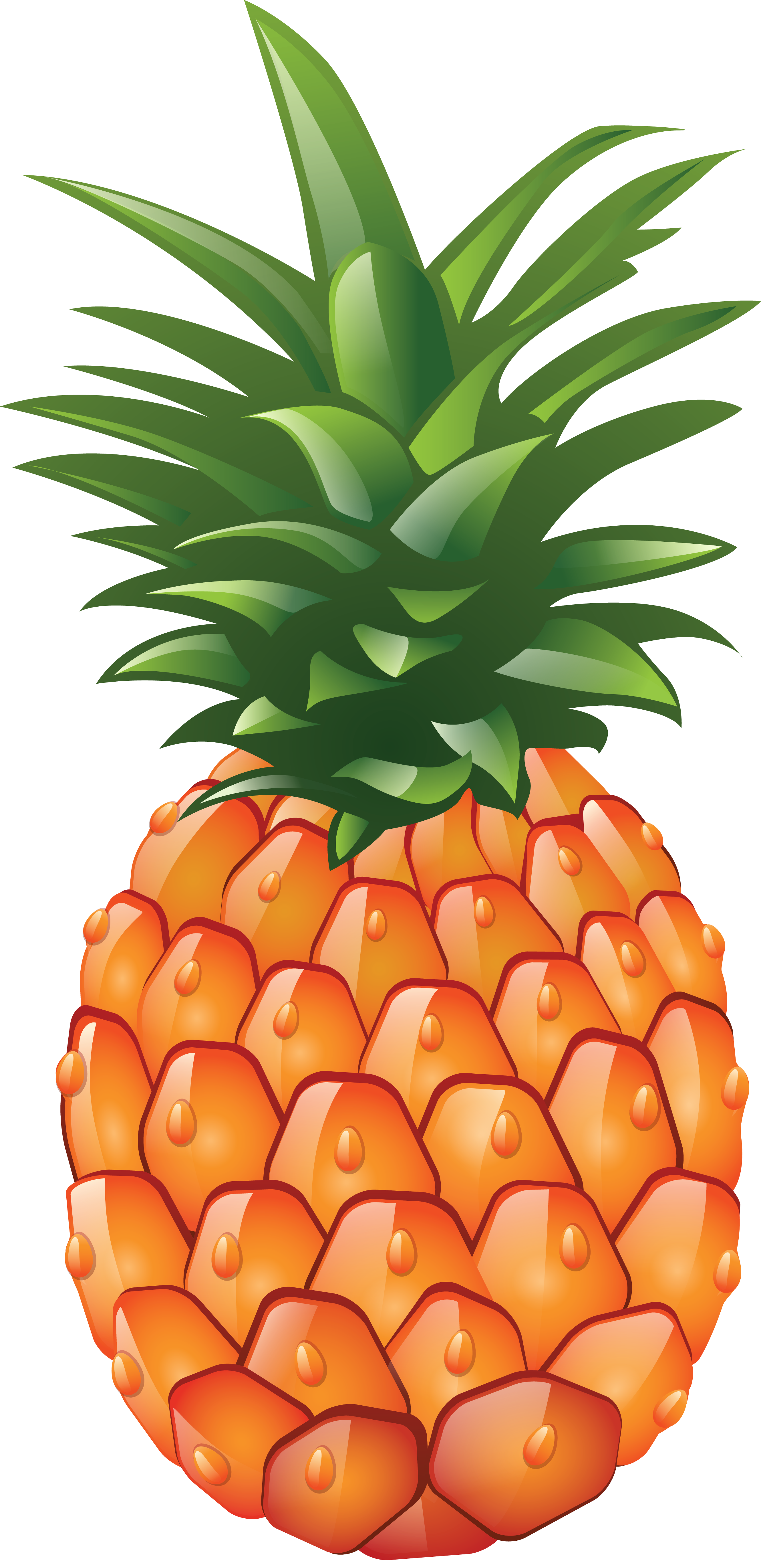 2661x5455 pineapple free to use cliparts - Pineapple Drawing Clip Art
