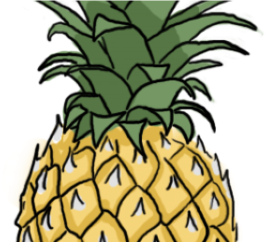 528x481 download pineapple clipart classy - Pineapple Drawing Clip Art