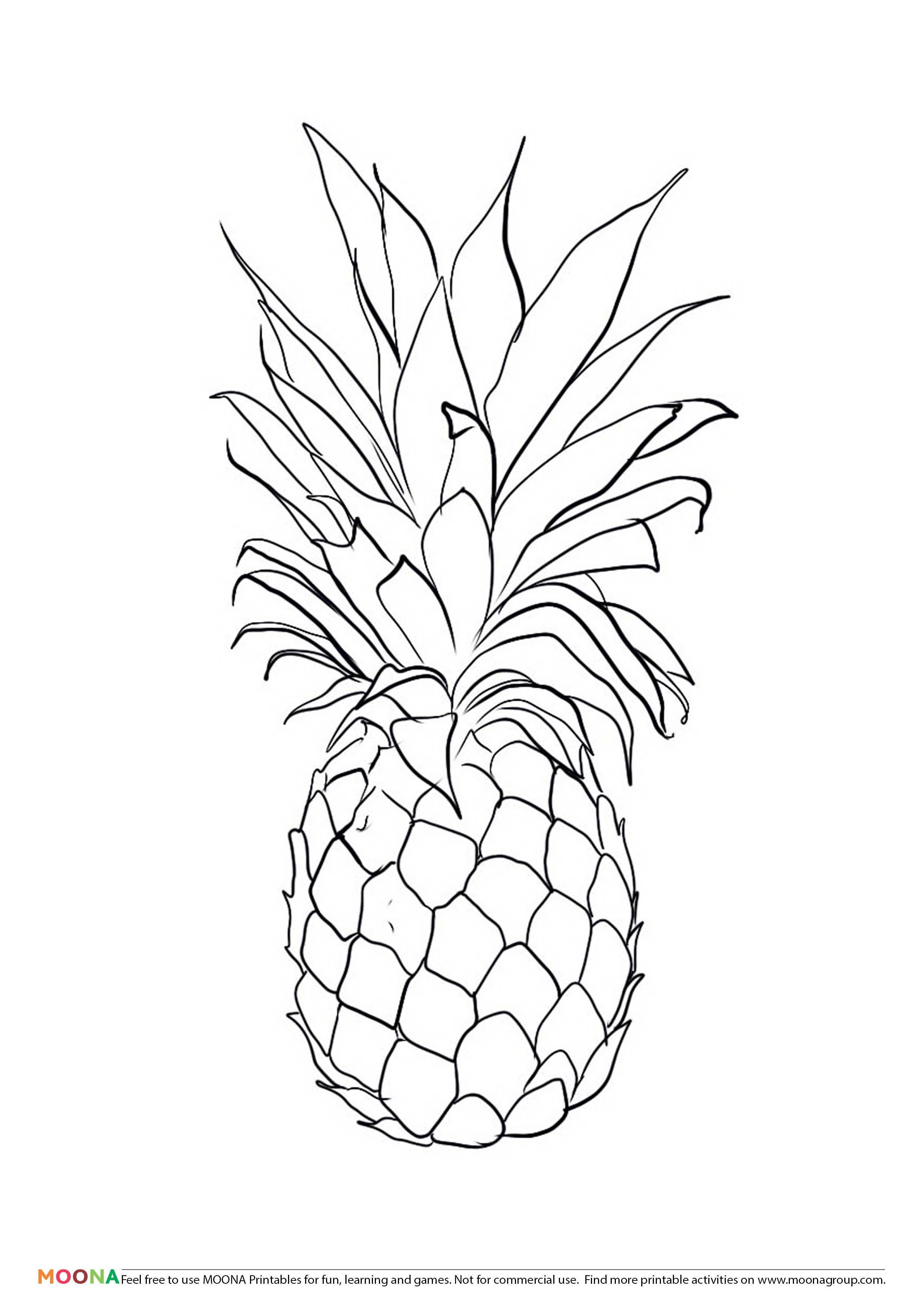 Pineapple Line Drawing at Explore collection of