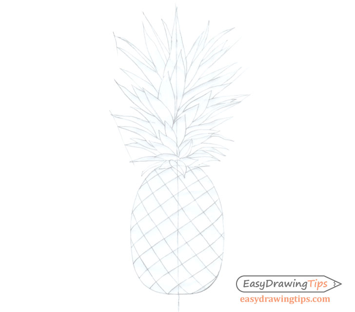 728x640 How To Draw A Realistic Pineapple Step - Pineapple Line Drawing