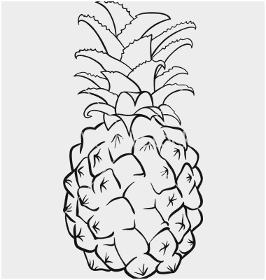 380x400 Pineapple Coloring - Pineapple Line Drawing