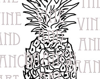340x270 Pineapple Line Drawing - Pineapple Line Drawing