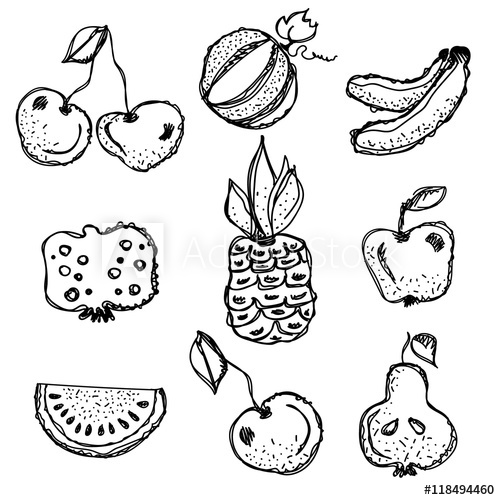 500x500 Vector Fruits Set Hand Drawn Black And White Fruits Illustration - Pineapple Line Drawing