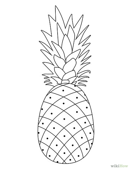 Pineapple Outline Drawing at PaintingValley.com | Explore collection of ...