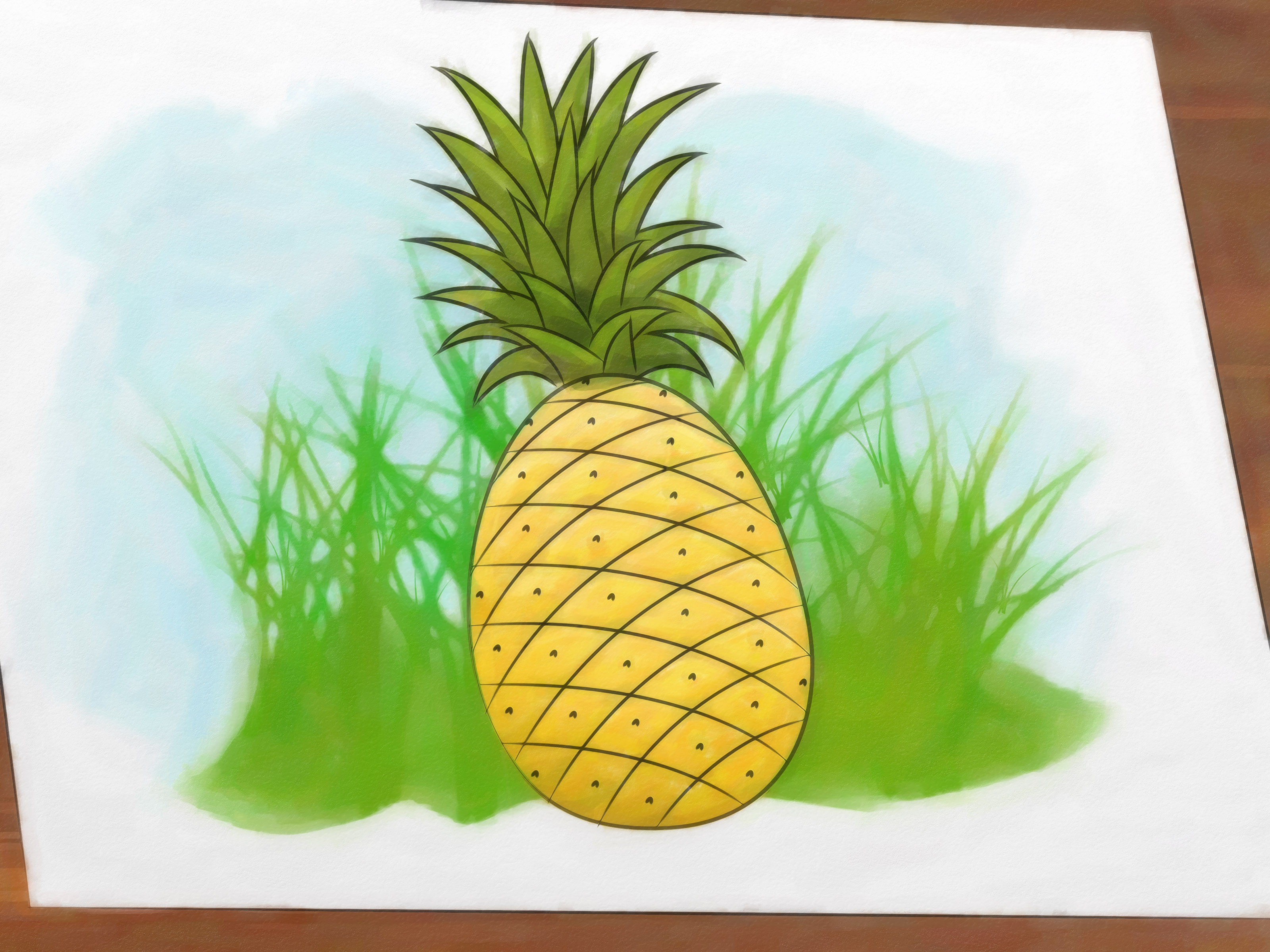 3200x2400 How To Draw A Pineapple Steps - Pineapple Outline Drawing