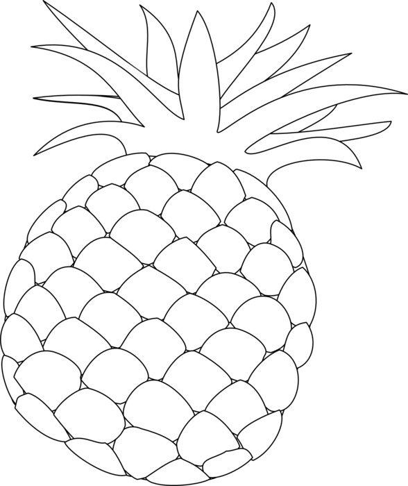 588x700 Outline Drawing Of A Pineapple Fruit Free Image - Pineapple Outline Drawing