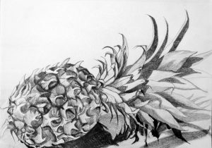 300x210 Pencil Sketches Pineapple Drawing Of Pineapple Pineapple Outline - Pineapple Outline Drawing