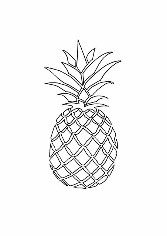 550x778 Outline Drawing Pineapple For Free Download - Pineapple Outline Drawing