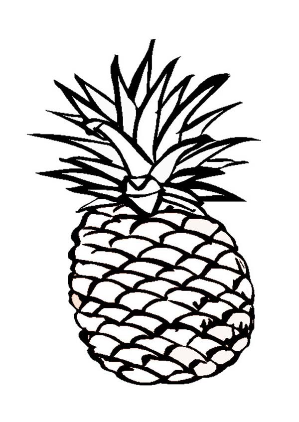 600x847 Pineapple Outline Drawing Tumblr - Pineapple Outline Drawing