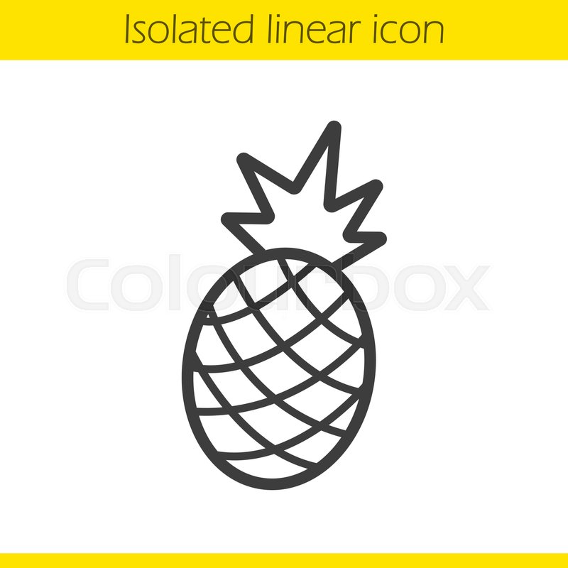800x800 Pineapple Linear Icon Thin Line Stock Vector Colourbox - Pineapple Outline Drawing