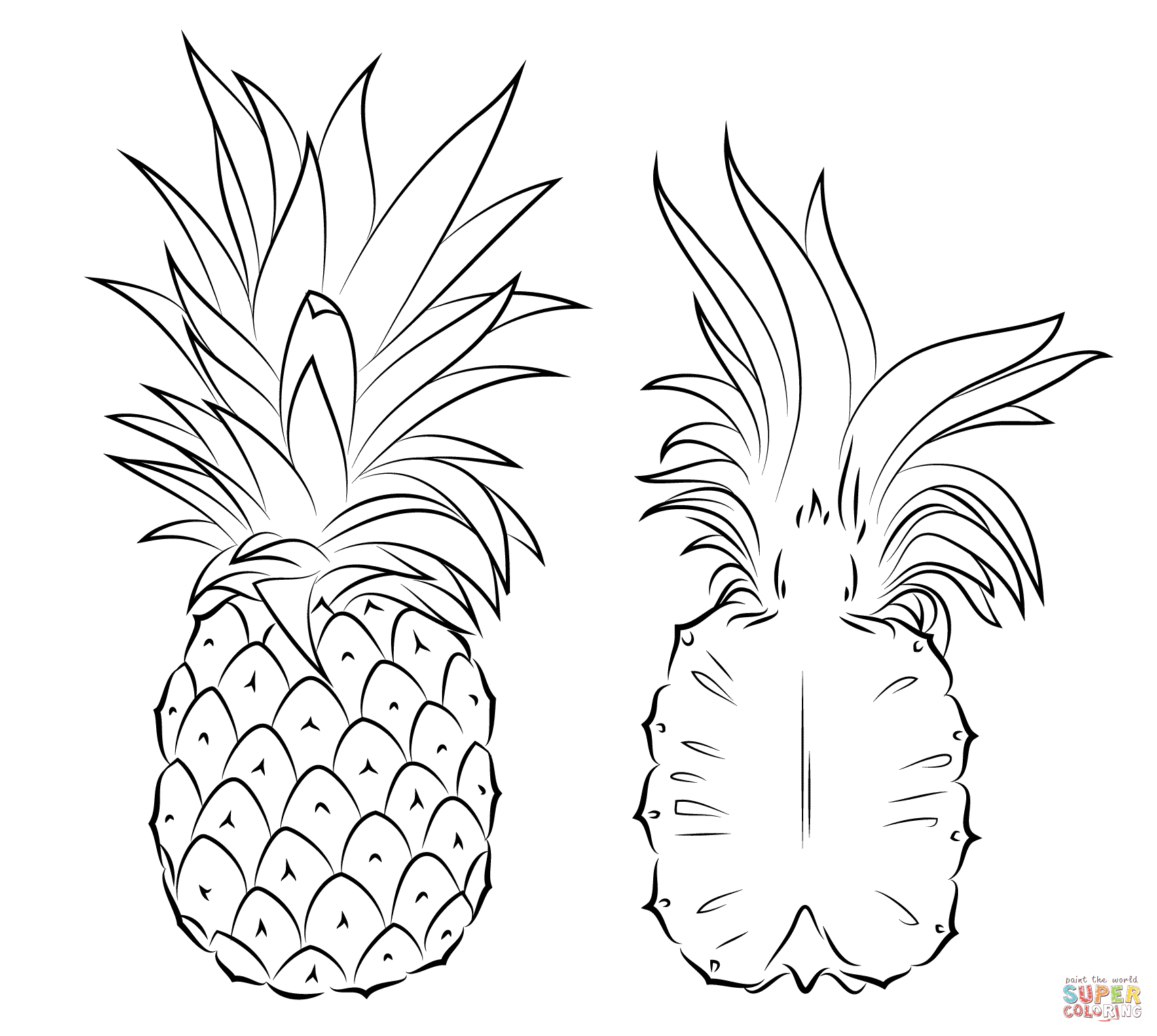 Pineapple Outline Drawing at Explore collection of