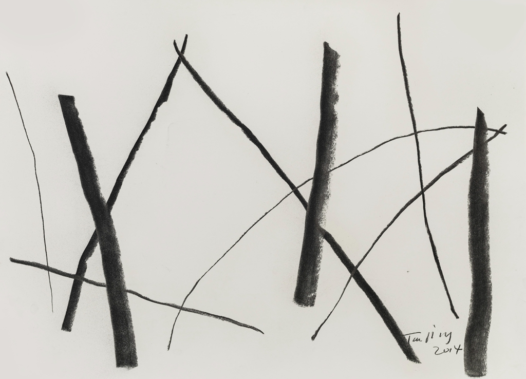 1024x738 tan ping, drawing charcoal pencil, x cm - Ping Drawing