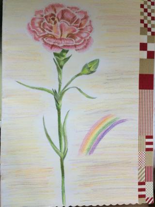 320x427 it's happy mother day just finished drawing clove pink carnation - Pink Carnation Drawing