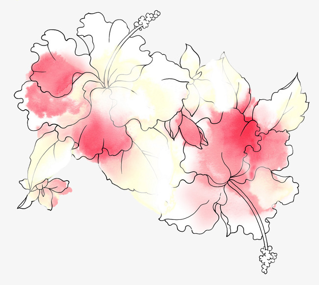 650x582 pink carnation drawing - Pink Carnation Drawing
