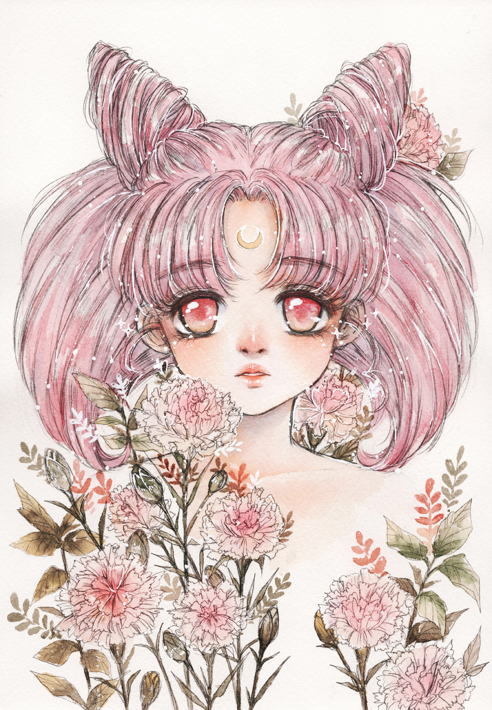 1000x1443 baby pink carnation - Pink Carnation Drawing