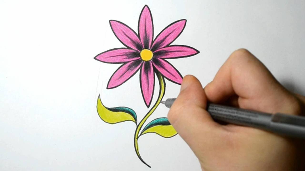 1280x720 How To Draw A Simple Flower - Pink Daisy Drawing