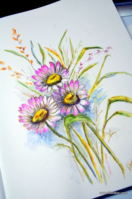 424x640 pink daisy coloring drawing watercolor - Pink Daisy Drawing