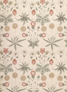 220x300 pink daisy drawings pixels - Pink Daisy Drawing