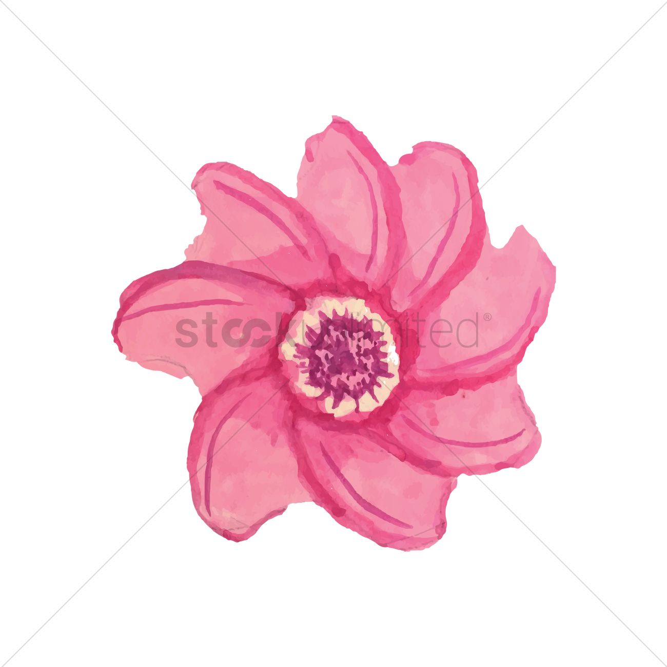 1300x1300 pink daisy vector image - Pink Daisy Drawing