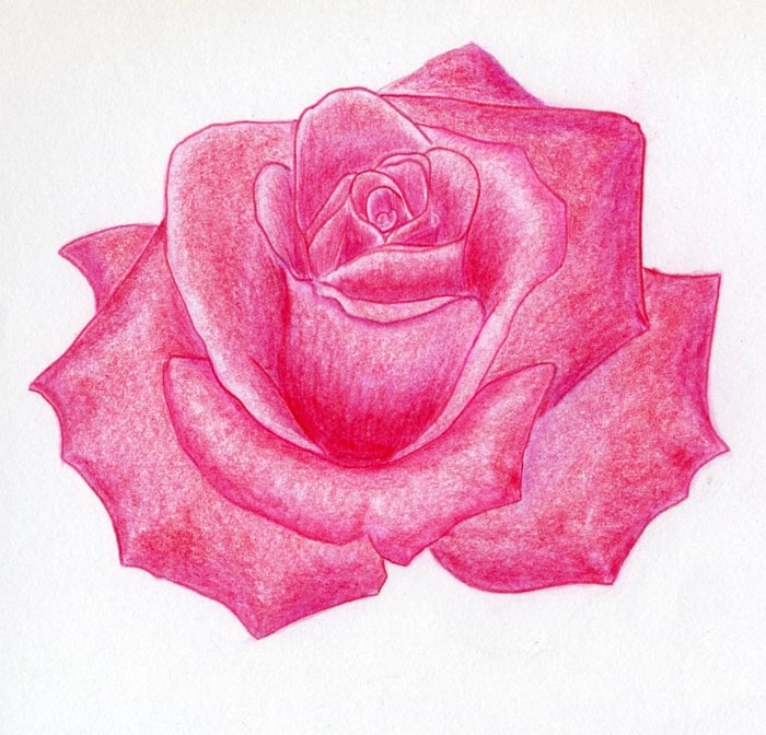 700x672 Draw A Rose Head In Few Super Simple Steps - Pink Drawings
