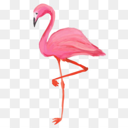 260x260 flamingo png - Pink Flamingo Drawing