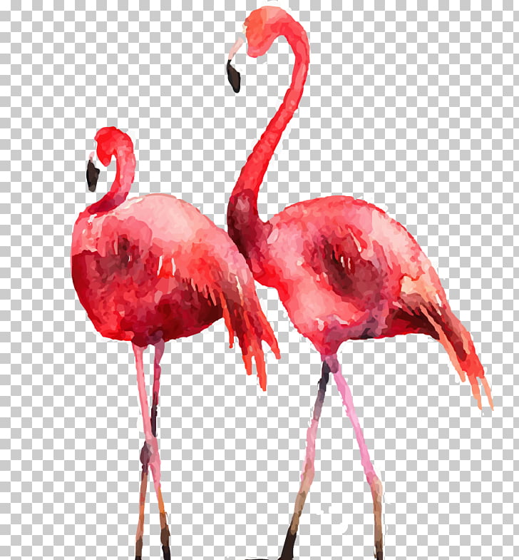 728x785 flamingo poster printmaking illustration, drawing flamingos, two - Pink Flamingo Drawing