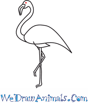 300x350 how to draw a flamingo - Pink Flamingo Drawing