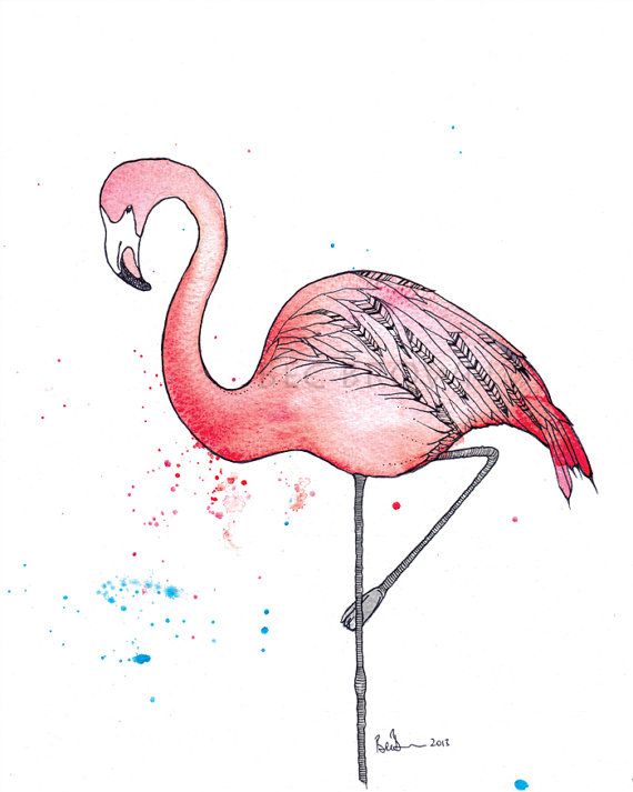 570x713 pink flamingo bird watercolour art drawing print - Pink Flamingo Drawing