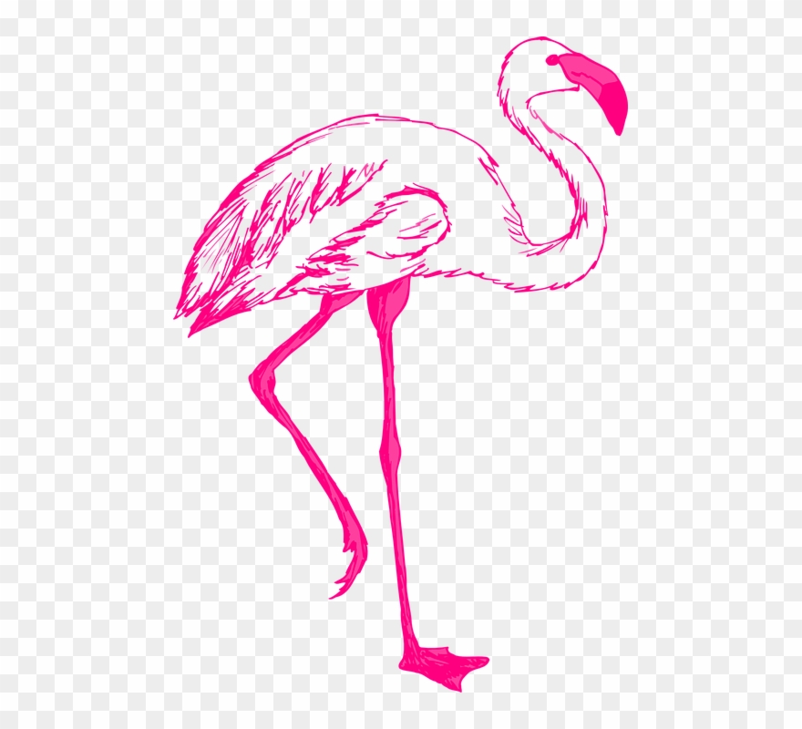 880x800 pink flamingo cliparts buy clip art - Pink Flamingo Drawing
