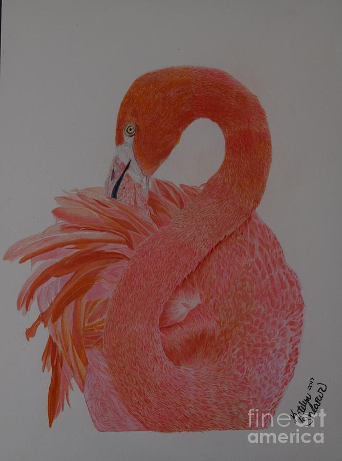 668x900 pink flamingo drawing - Pink Flamingo Drawing