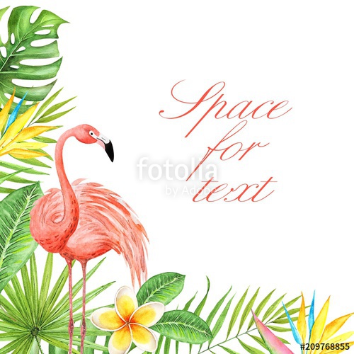 500x500 drawing watercolor decorative border of tropical plants, leaves - Pink Flamingo Drawing