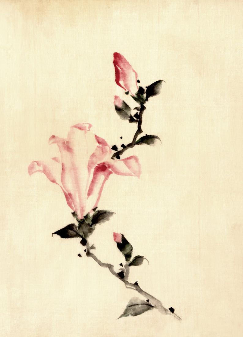 794x1102 japanese art pink flower drawing hokusai fine art print etsy - Pink Flower Drawing